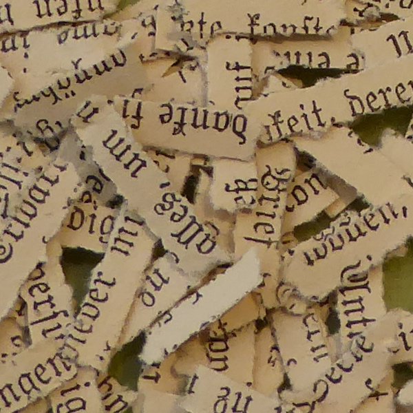 Seedgirls -Papierschnipsel aus einem alten Buch die in hangeschöpftes Papier eingearbeitet werden